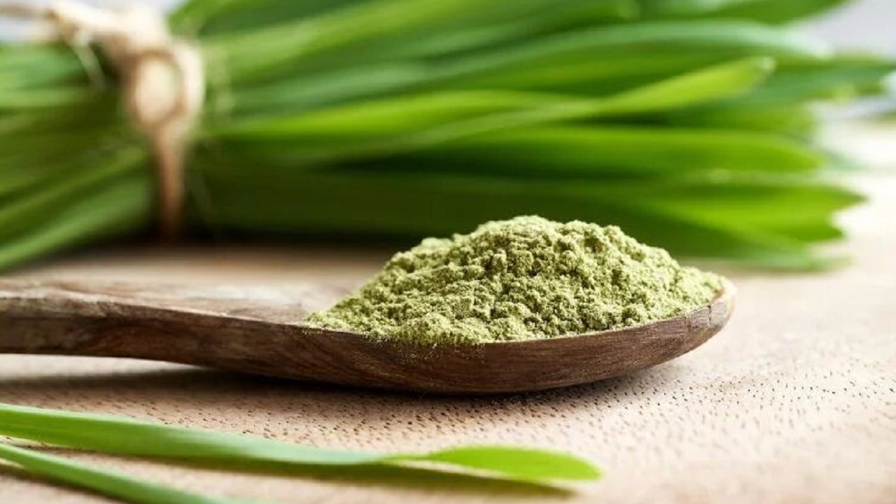 اثبات خواص افزایش طول عمر و ضد پیری جوانه گندم