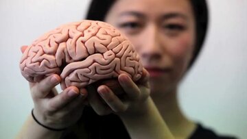 با این چهار روش مغز را تقویت کنید