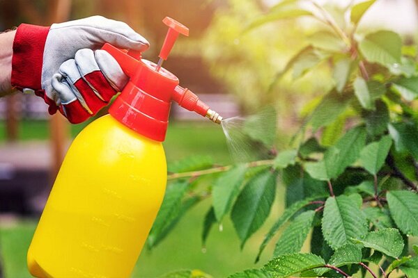 آفت‌کش‌ها میکروب‌های مفید روده‌ را به خطر می‌اندازند