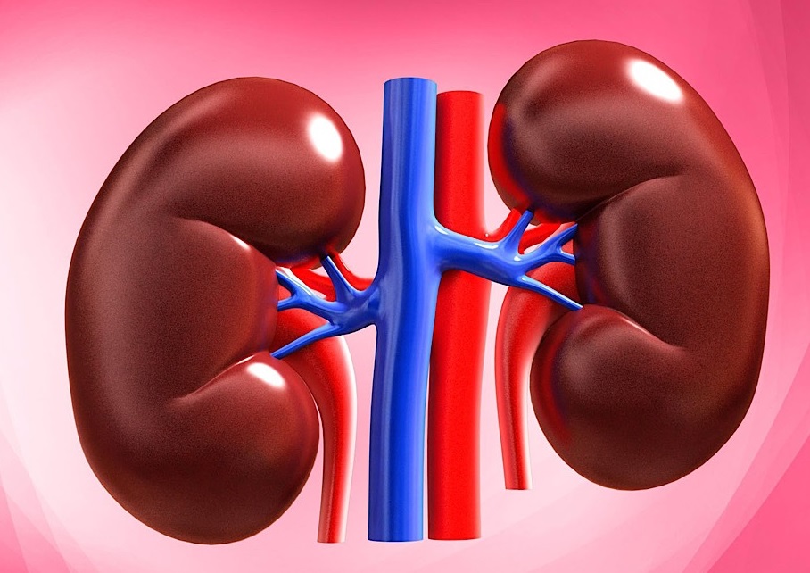 لوبیا‌های سحرآمیز، قاتلان خاموش بدن