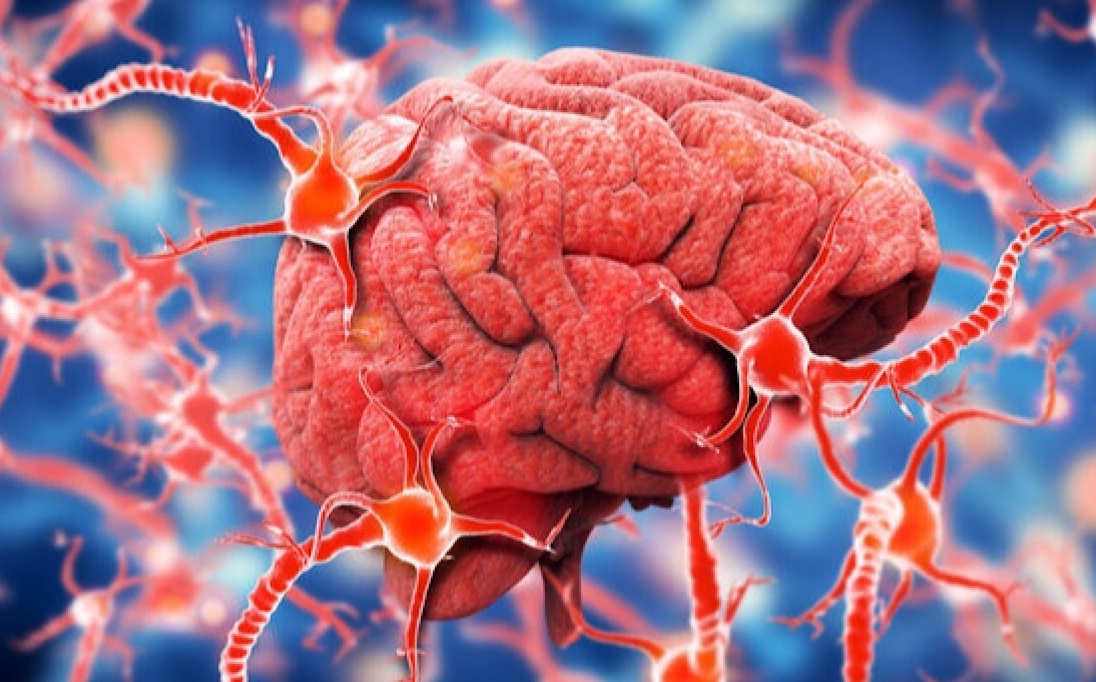 نور زیاد خطرناک است