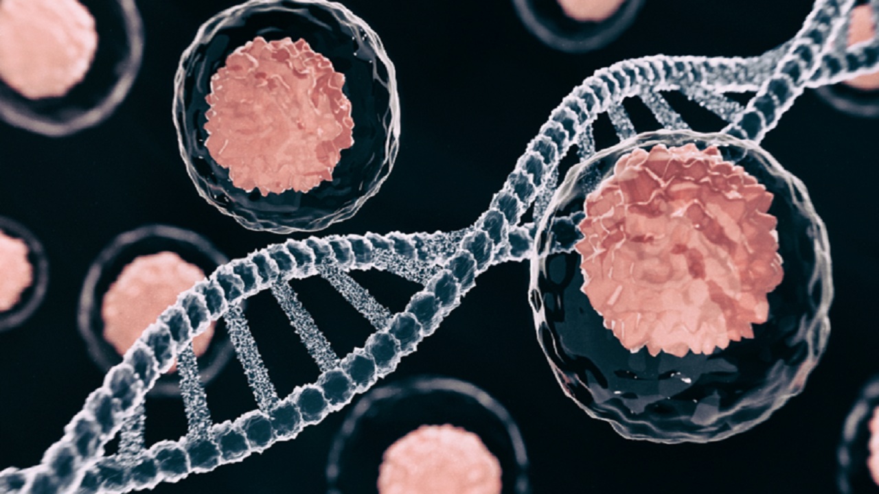 کشفی جدید که می‌تواند به مبارزه با سرطان‌های روده و کبد کمک کند