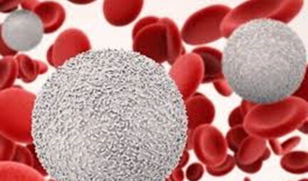 افت گلبول سفید خون، زنگ خطر سلامت بدن