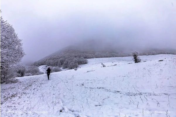سازمان هواشناسی برای آخر هفته هشدار داد