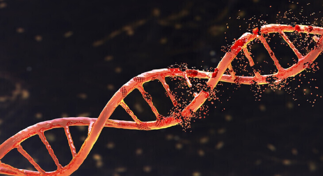 قابلیت جدید گوگل برای رمزگشایی ژنوم انسان و تجزیه و تحلیل جهش‌های ارثی