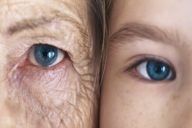 انسان‌ها در دو برهه سریع‌تر پیر می‌شوند!