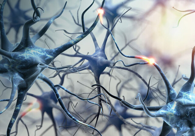 بیماری پارکینسون تولید انرژی بدن را تغییر می‌دهد